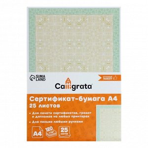 Сертификат-бумага А4, 25 листов Calligrata "Зеленый интенсив", 120 г/м2