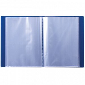 Папка 100 вкладышей BRAUBERG Стандарт, синяя, 0,9мм, 221609