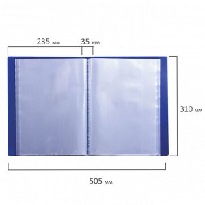 Папка 100 вкладышей BRAUBERG Стандарт, синяя, 0,9мм, 221609
