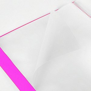 Папка 40 вкладышей BRAUBERG "Neon", 25мм, неоновая розовая, 700мкм, 227454