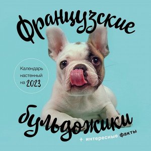 Календарь настенный «Французские бульдожики» 2023 год, 30х30 см