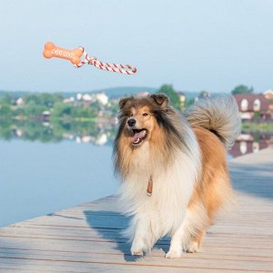 Игрушка резиновая "Кость" (14 см) с ручкой из каната для собак, до 37 см, микс цветов   2529768