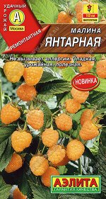 Малина Янтарная