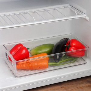 Контейнер для холодильника Berkana, 31,2?15,2?7,5 см, цвет прозрачный