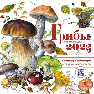 Вязьменский А.Л. Грибы. Календарь. 2023 год