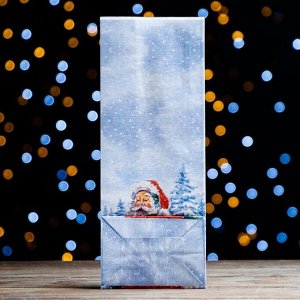 Пакет бумажный фасовочный "Дед Мороз", 10 х 26 х 7 см