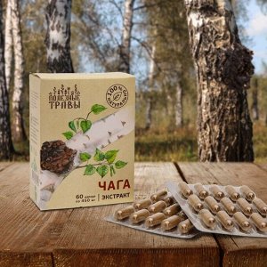 Чага, растительный экстракт