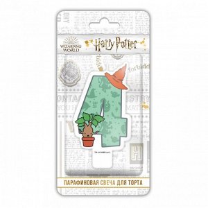 Harry Potter. Парафиновая свеча в торт (цифра 4 с рисунком), в блистере (чиби)