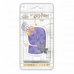 Harry Potter. Парафиновая свеча в торт (цифра 9 с рисунком), в блистере (чиби)