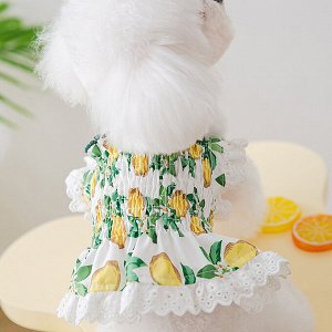 Одежда для домашних животных, платье, принт "лимоны"