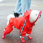 Дождевик для собак, цвет красный