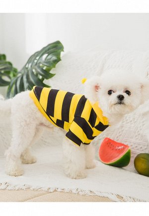 Одежда для домашних животных, кофта с капюшоном, принт "Пчела"