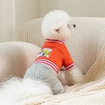 Одежда для домашних животных, комбинезон, цвет оранжевый/серый
