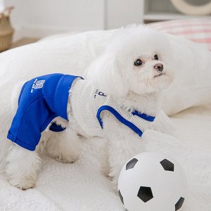 Одежда для домашних животных, спортивный костюм, цвет синий