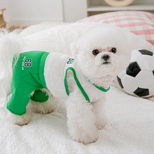 Одежда для домашних животных, спортивный костюм, цвет зеленый