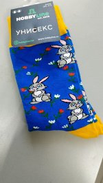 Носки унисекс &quot;Hobby Line&quot;