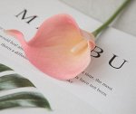 Искусственный цветок &quot;Калла&quot;, цвет нежно розовый
