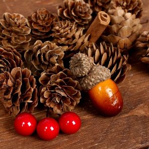 Набор новогоднего декора «Пряные шишки»