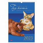 Календарь на гребне с ригелем, 2023 г., 30х45 см, ЛЮКС, &quot;Кот&quot;, HATBER, 12Кнп3гр_28018