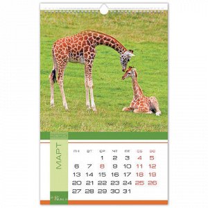 Календарь на гребне с ригелем, 2023 г., 30х45 см, ЛЮКС, "Animals", HATBER, 12Кнп3гр_26042