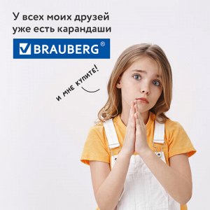 Карандаши цветные BRAUBERG PREMIUM, 12 цветов, трехгранные, грифель мягкий 3,3 мм, 181651