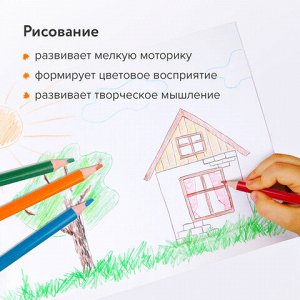 Карандаши цветные BRAUBERG PREMIUM, 12 цветов, пластиковые, шестигранные, грифель мягкий 3 мм, 181666