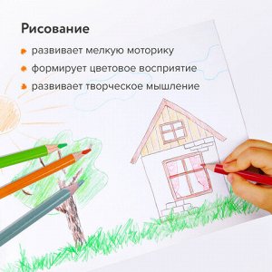Карандаши цветные BRAUBERG PREMIUM, 24 цвета, шестигранные, грифель 3,3 мм, натуральное дерево, 181658
