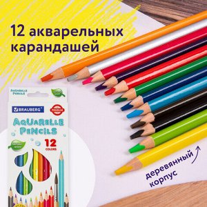Карандаши цветные акварельные BRAUBERG PREMIUM AQUARELLE, 12 цветов, трехгранные, утолщенный грифель 4 мм, натуральное дерево, 181671