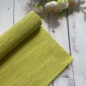 Гофра Китай, 250*50 см №18 оливковый