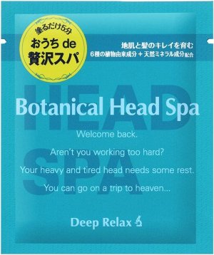 ISHIZAWA LabBotanical Head Spa Mask - одноразовая пряная маска для домашней Спа-процедуры