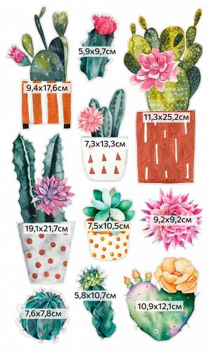 Декоративные виниловые наклейки Кактусы с цветами 30х50 см
