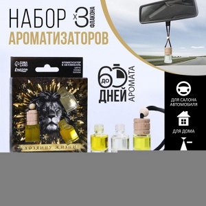 Набор ароматизаторов «Хозяину жизни», цитрус, тропики, парфюм, 3 шт