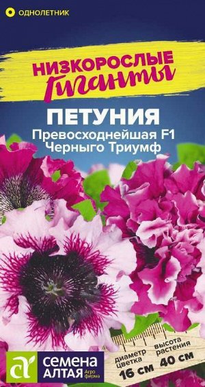 Цветы Петуния Превосходнейшая Черныго Триумф/Сем Алт/цп 10 шт. Низкорослые гиганты