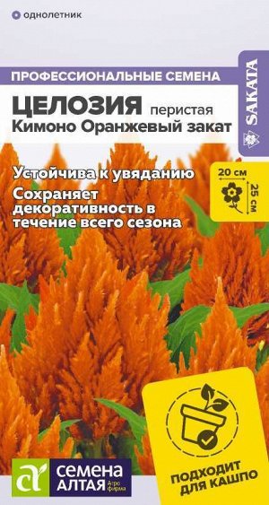 Цветы Целозия Кимоно Оранжевый закат перистая 10 шт