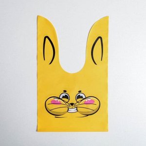 Мешок подарочный «Кот», 16 ? 26 см