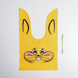Мешок подарочный «Кот», 16 ? 26 см