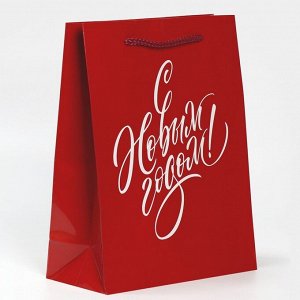 Пакет ламинированный вертикальный «С подарком к тебе», ML 21 ? 25 ? 8 см