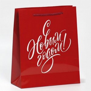 Пакет ламинированный вертикальный «С подарком к тебе», ML 21 ? 25 ? 8 см