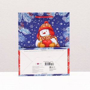 Пакет подарочный "Влюблённый снеговик", 18 х 22,3 х 10 см