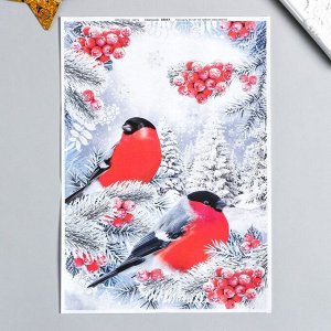 Набор декупажных карт "Новогодние птички" А4, 45 г/м6
