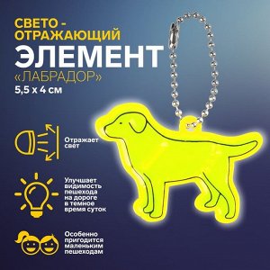 Светоотражающий элемент «Лабрадор», двусторонний, 5,5х4 см, цвет МИКС