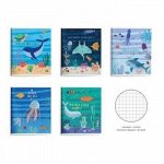 Тетрадь  48л клетка &quot;МОРСКОЙ МИР&quot; Уф-лак ТОК48-ММ SchoolФормат {Россия}