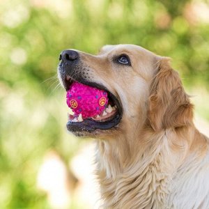 Квакающий мяч для собак, жёсткий, 7,5 см, розовый
