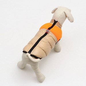 Куртка для собак на молнии, размер 18 (ДС 40 см, ОГ 50 см, ОШ 38 см), бежевая с оранжевым