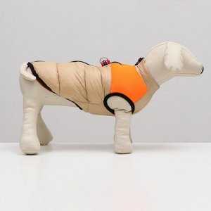 Куртка для собак на молнии, размер 16 (ДС 36 см, ОГ 46 см, ОШ 35 см), бежевая с оранжевым