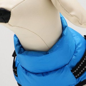 Куртка для собак со шлейкой, размер 12 (ДС 28 см, ОГ 38 см, ОШ 27 см), лазурная