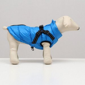 Куртка для собаксо шлейкой, размер 14 (ДС 32 см, ОГ 42 см, ОШ 31 см),  лазурная