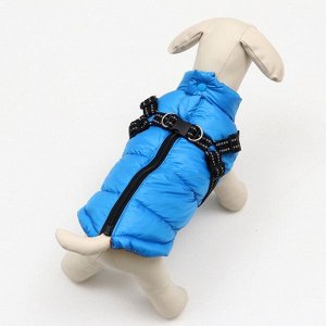 Куртка для собаксо шлейкой, размер 14 (ДС 32 см, ОГ 42 см, ОШ 31 см),  лазурная