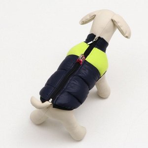 Куртка для собак на молнии, размер 10 (ДС 25 см, ОГ 34 см, ОШ 24 см), синяя с жёлтым