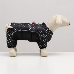 Комбинезон для собак "Горошек", размер 12 (ДС 25, ОГ 36, ОШ 28 см), чёрный